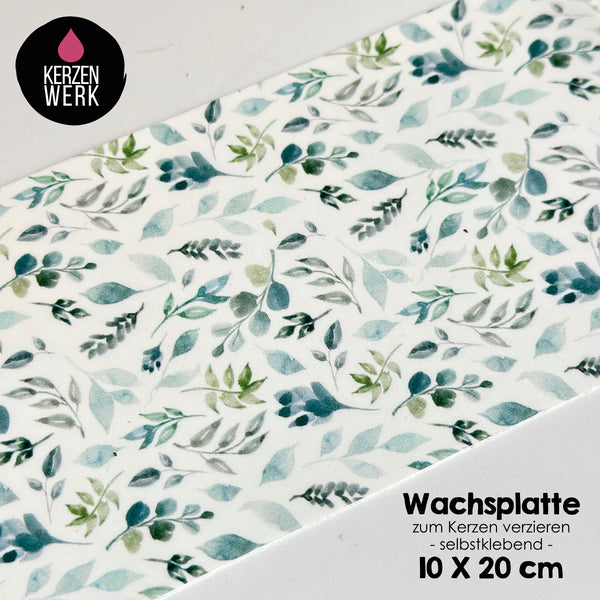 Wachsplatte No.33 Eukalyptus Blätter 20 x 10cm Kerze selber machen